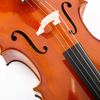 LZSC500 Intermediate Cello