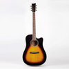 Acoustic Guitar GM-210D-CNA