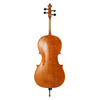 LZSC300A Beginner Cello