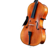 LZSC500B Intermediate Cello