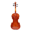 LZSV300 Beginning Violin 