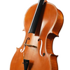 LZSC300A Beginner Cello