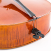 LZSC500 Intermediate Cello