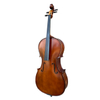 LZSC100 Beginner Cello