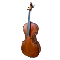 LZSC100 Beginner Cello