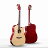 Acoustic Guitar CG-100