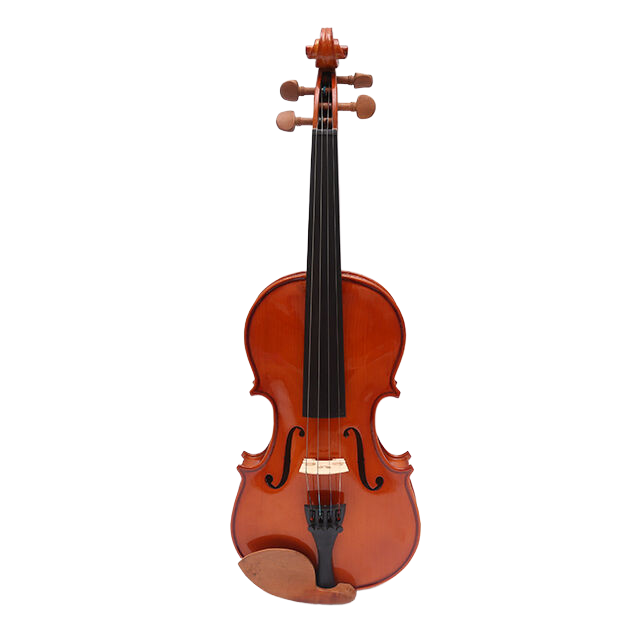 LZSV099 Beginning Violin 