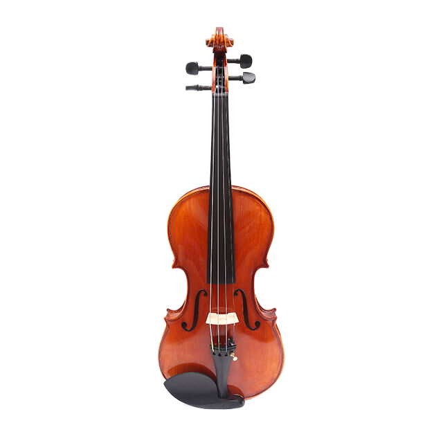 LZSV300 Beginning Violin 