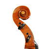 LZSC300A Beginner Cello