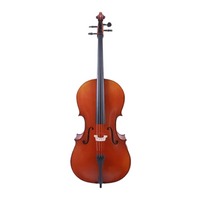 LZSC1000 Professional Cello