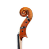LZSC500B Intermediate Cello