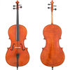 LZSC500 Intermediate Cello