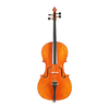 LZSC400 Intermediate Cello