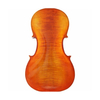 LZSC600 Professional Cello