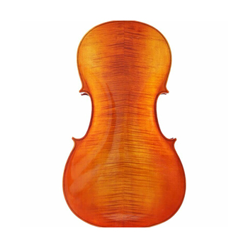 LZSC600 Professional Cello
