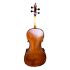 LZSC100 Beginner Cello