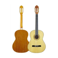 39 shaped D guitar