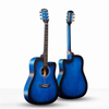 Acoustic Guitar CG-100