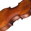 LZSV100 Beginning violin 