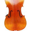 LZSC200 Beginner Cello