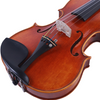 LZSV800 Professional Violin