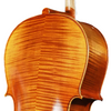 LZSC300A Beginner Cello