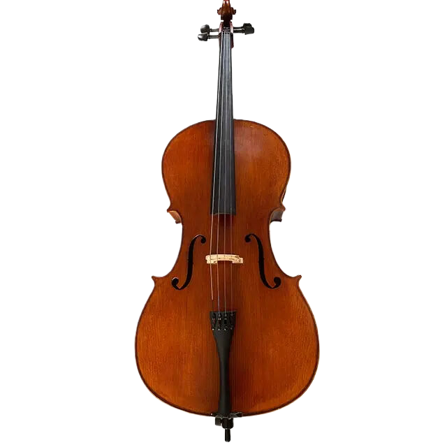 LZSC200 Beginner Cello