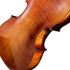 LZSC500B Intermediate Cello