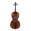 LZSC400 Intermediate Cello