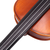 LZSV300 Beginning Violin 