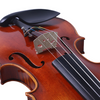 LZSV800 Professional Violin