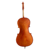 LZSC099 Beginner Cello