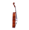 LZSC1000 Professional Cello