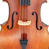 LZSC200 Beginner Cello