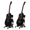 Acoustic Guitar CG-100