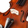 LZSV100 Beginning violin 
