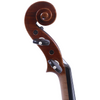LZSV1000 Professional Violin