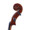 LZSC1000 Professional Cello