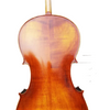 LZSC200 Beginner Cello