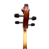 LZSC100 Beginner Cello
