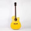 Acoustic Guitar GM-210D-CNA