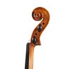 LZSV100 Beginning violin 