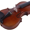 LZSV1000 Professional Violin