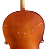LZSC099 Beginner Cello
