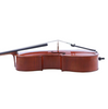 LZSC1000 Professional Cello