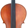 LZSC200 Beginner Cello
