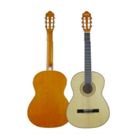 39 shaped D guitar