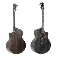 Acoustic guitar SXY15
