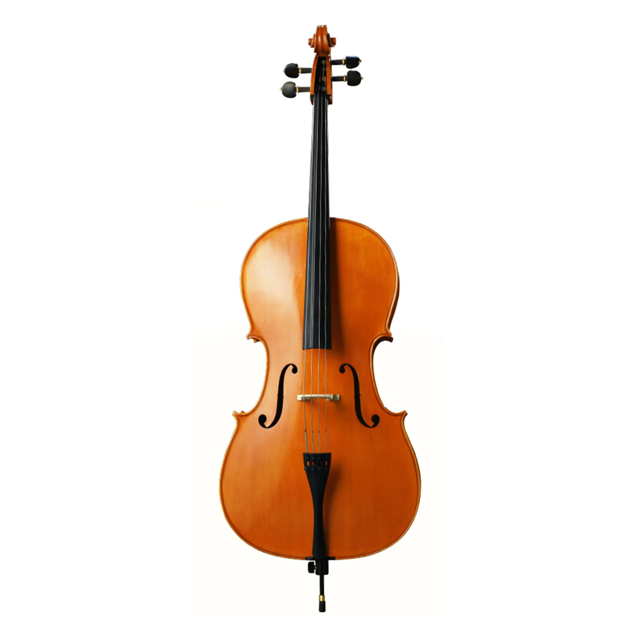 LZSC300A Beginner Cello