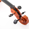 LZSC500 Intermediate Cello